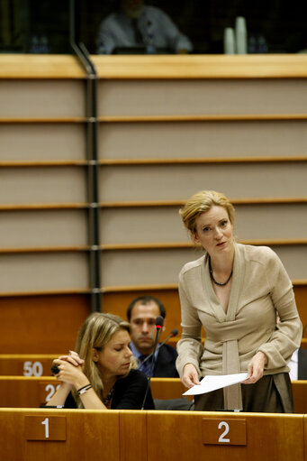 The French State Secretary for ecology in plenary session in Brussels.