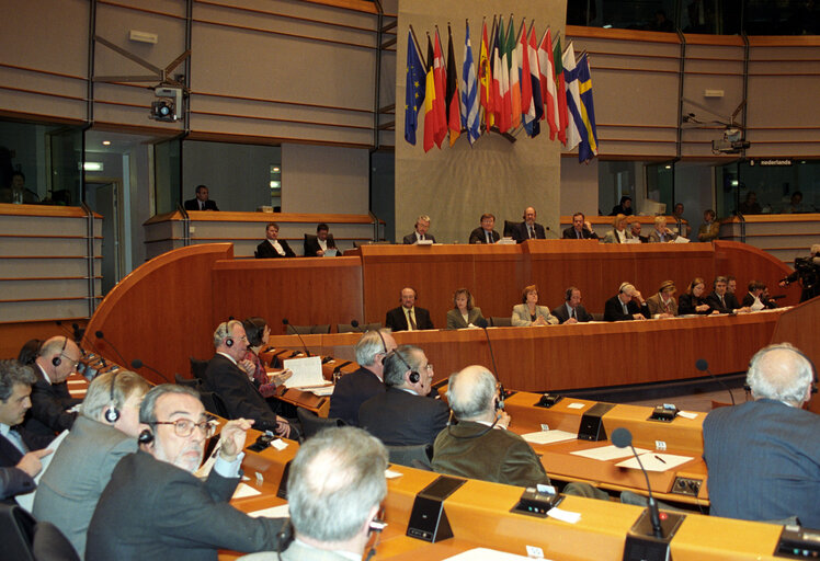 Fotografie 1: Meeting on the resignation of the SANTER Commission.