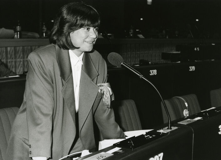 Teresa DOMINGO SEGARRA attends a plenary session in December 1989