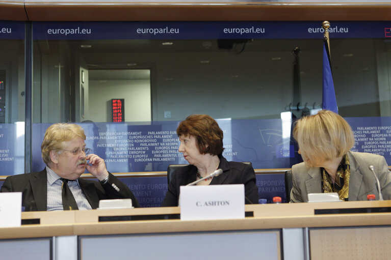 Fotografi 13: AFET/SEDE Committee meeting. Subcommittee on Security and Defence