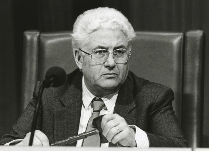 Fotó 1: Mario DIDO presiding over the plenary session in Strasbourg.