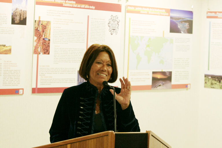 Fotografi 1: MEP Margie SUDRE delivers a speech at the opening of an exhibition in Brussels