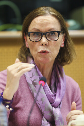 Φωτογραφία 3: ALDE roundtable on Quotas for the Boardroom: Perspectives and Experiences