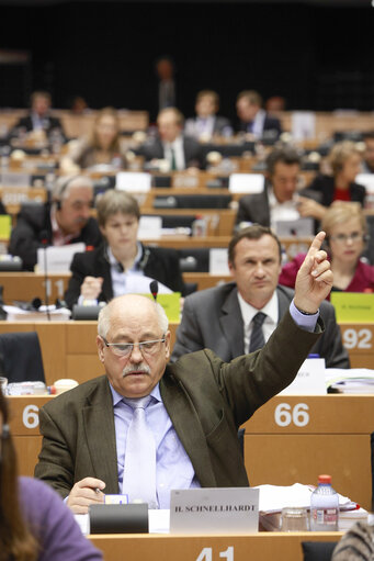 Foto 7: ENVI Committee. Non-commercial movement of pet animals - Vote on a regulation, report by Horst SCHNELLHARDT