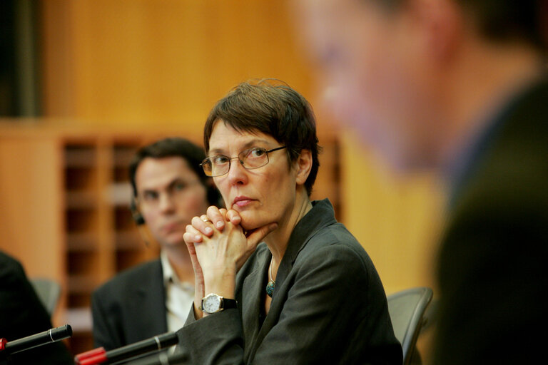 Foto 1: MEP Satu HASSI attends a meeting in Brussels