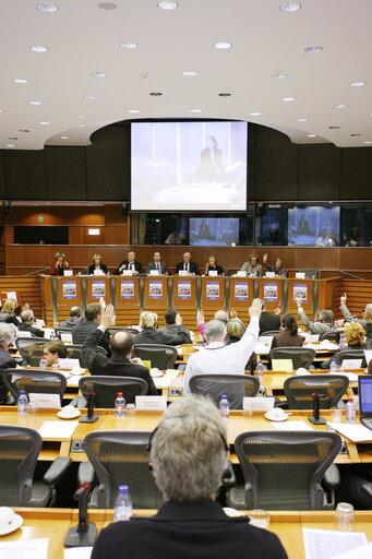 Foto 2: PECH Committee meeting in Brussels