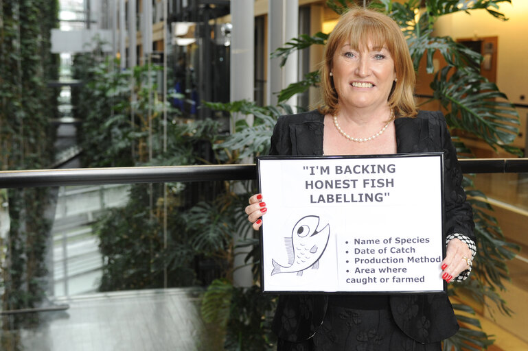 Demonstration I'm backing honest fish labelling