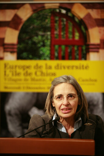 Foto 2: MEP Marie PANAYOTOPOULOS-CASSIOTOU delivers a speech at the opening of an exhibition on the Chios Island