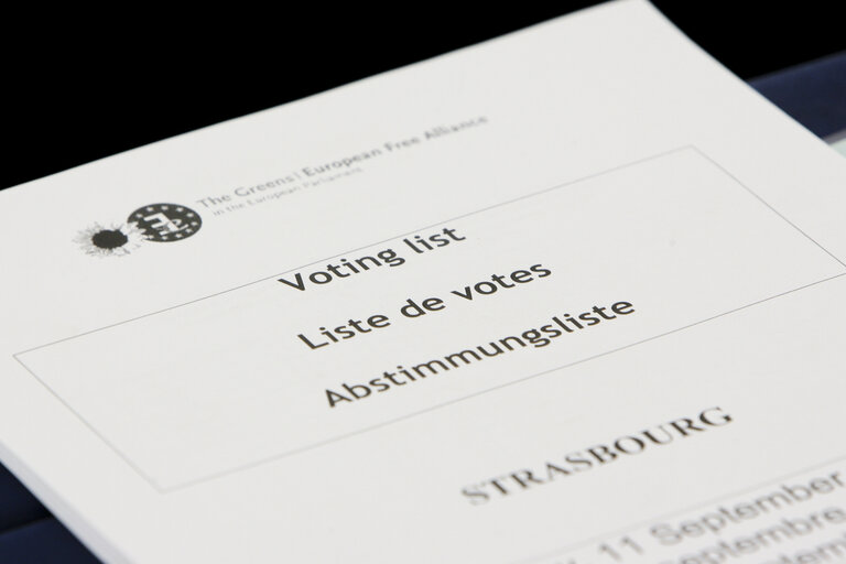 Fotografie 1: Session Document. Voting List