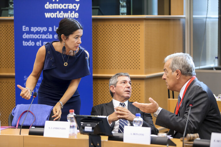 Fotografia 9: International Day of Democracy 2018: EU Leadership for Democracy. - Welcome and Statement on Democracy