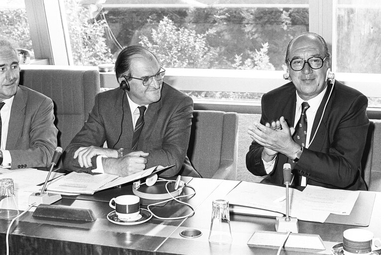 The Lord PLUMB, Eolo PARODI in meeting at the European Parliament in Strasbourg