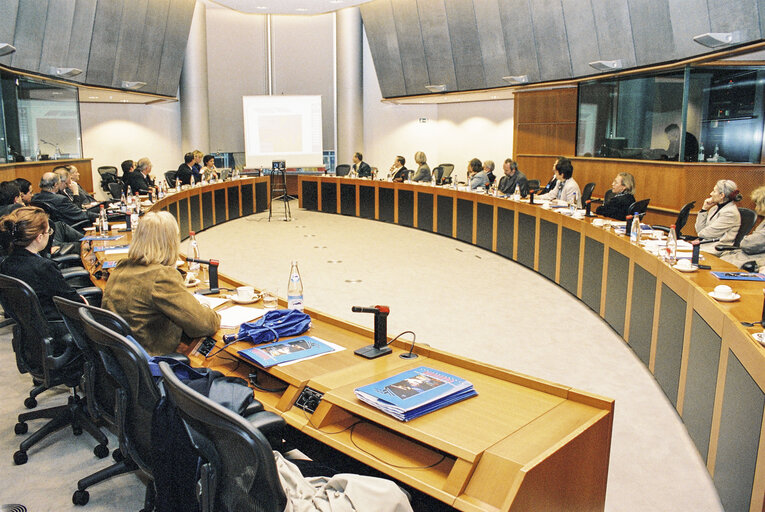 Foto 1: Meeting in the European Parliament