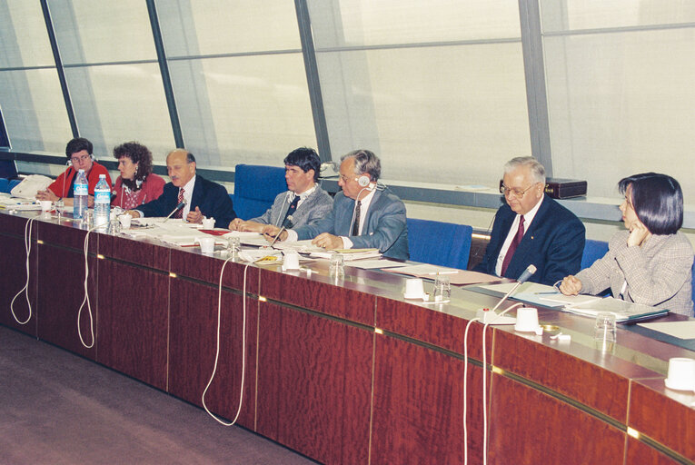 Meeting at the European Parliament in Strasbourg
