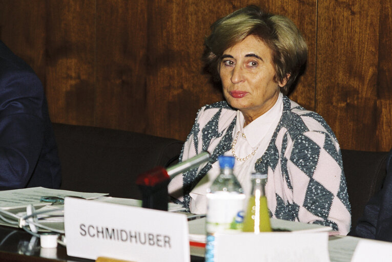 Zdjęcie 1: Conference of the Hanns Seidel Stiftung in Brussels