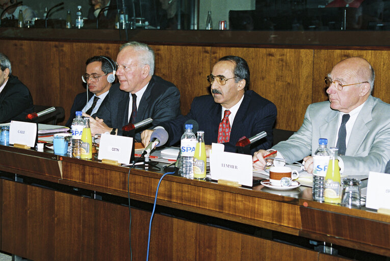 Foto 1: Meeting of the EC-Turkey Joint Parliamentary Committee