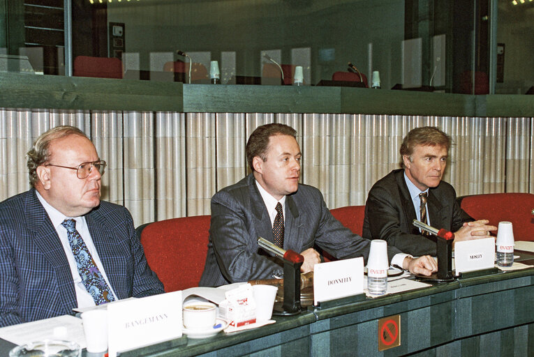 Photo 1: Meeting at the European Parliament in Brussels