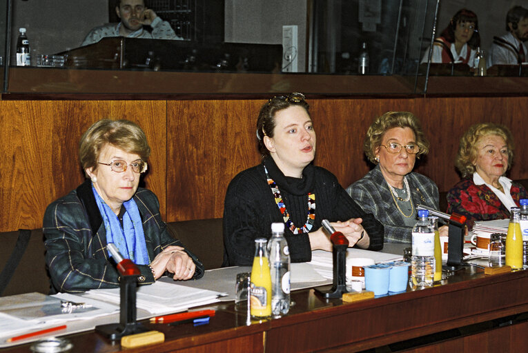 Photo 1: FEMM Committee Meeting at the European Parliament in Brussels