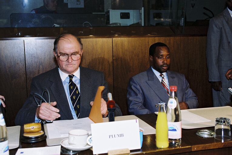 Fotografia 1: EU-Burundi Parliamentary Meeting