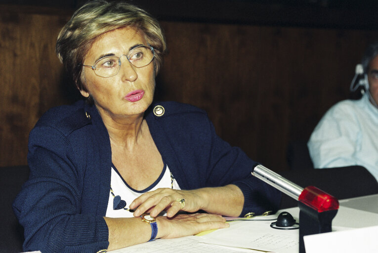 Fotografija 14: Meeting at the EP in Brussels