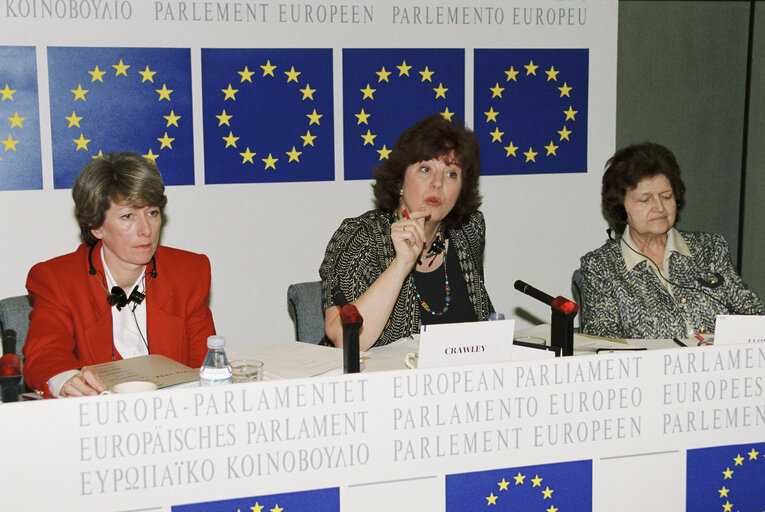 Zdjęcie 2: The MEPs Baroness Christine M. CRAWLEY, Carmen LLORCA VILAPLANA during a meeting in Strasbourg in March 1994.