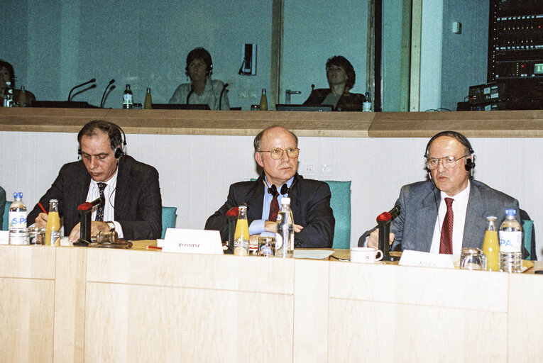 Meeting at the European Parliament in Brussels