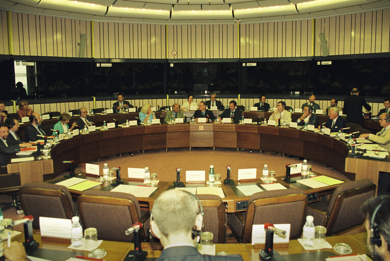 Foto 1: Conference of the presidents in Strasbourg in 1994.