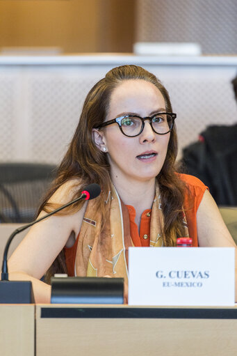 Photo 4: Euro-Latin American Parliamentary Assembly - 8th Ordinary Plenary Session  Meeting of the Working Group on Migration in relations between the EU, Latin America and the Caribbean