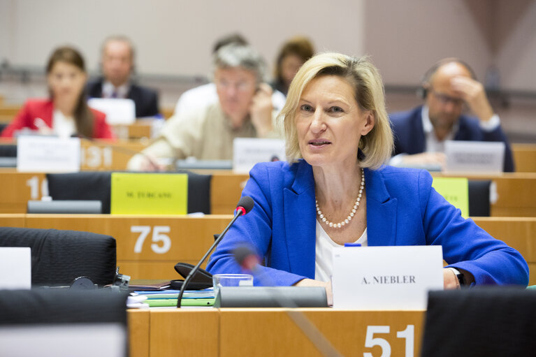 Foto 7: ITRE committee meeting - Exchange of views with the Minister of the Economy of Luxembourg