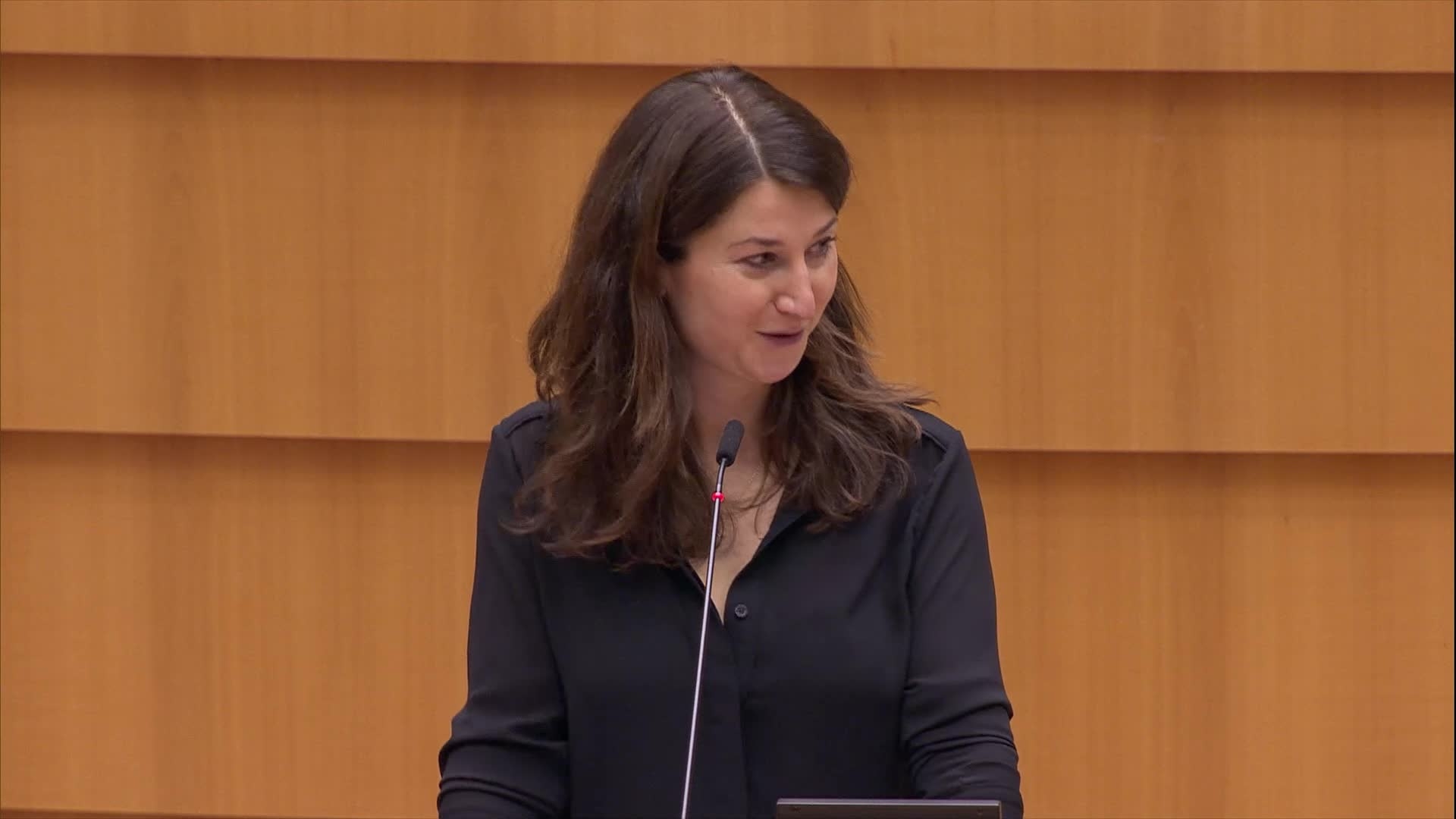 Corporate due diligence and corporate accountability: opening statement by Lara WOLTERS (S&amp;D,NL), rapporteur and by Didier REYNDERS, European Commissioner for Justice