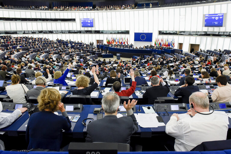 Photo 19: Plenary session - Votes followed by explanations of votes