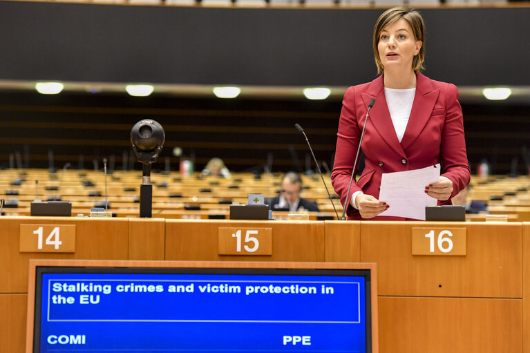 Plenary session' Stalking crimes and victim protection in the EU '