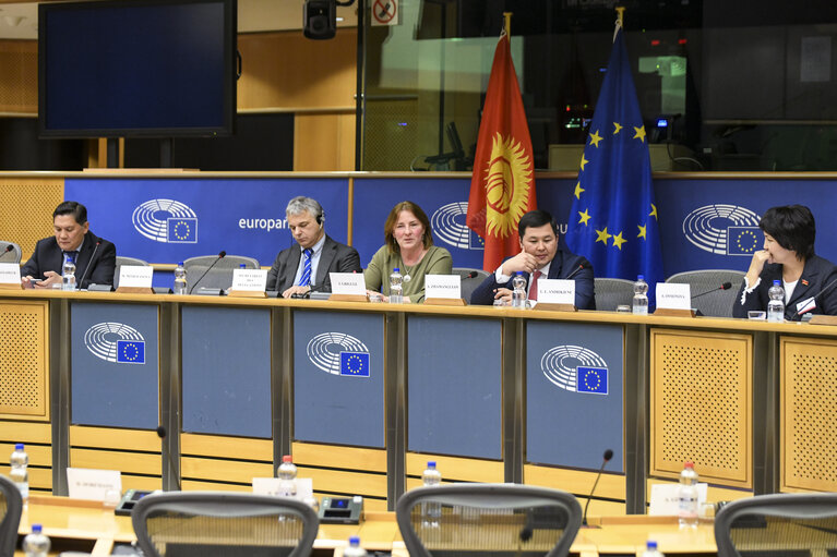 Fotografija 14: 13th EU-Kyrgyzstan Parliamentary Cooperation Committee