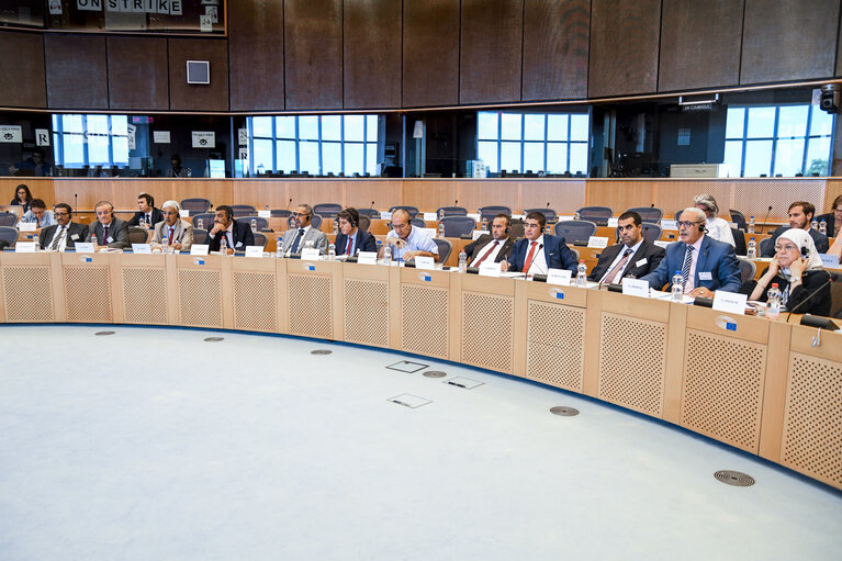 Photo 24 : Constituent meeting of the EU-Algeria Joint Parliamentary Committee