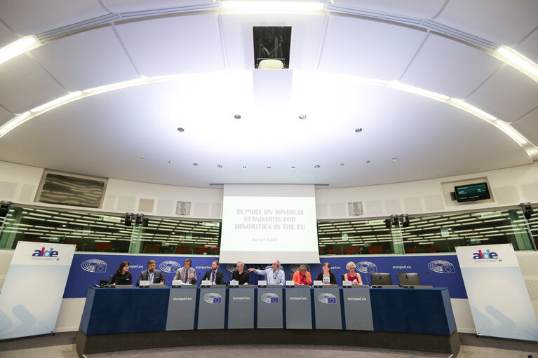 Foto 18: Meeting of the Minority Intergroup - Report on minimum standards for minorities in the EU