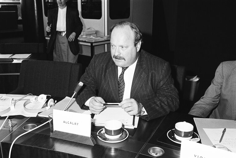 Billede 1: Delegation for relations with the countries of South America - Meeting with the Vice-President of Bolivia in June 1986 in Strasbourg