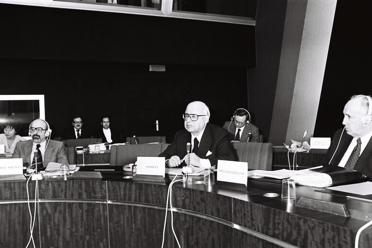 Foto 15: Plenary session in Strasbourg in December 1979.Meeting