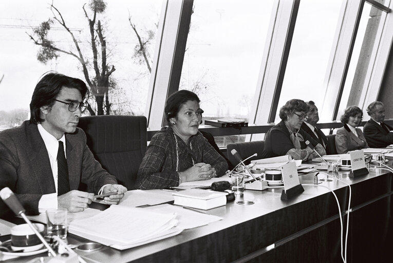 Plenary session in Strasbourg in December 1979.Meeting