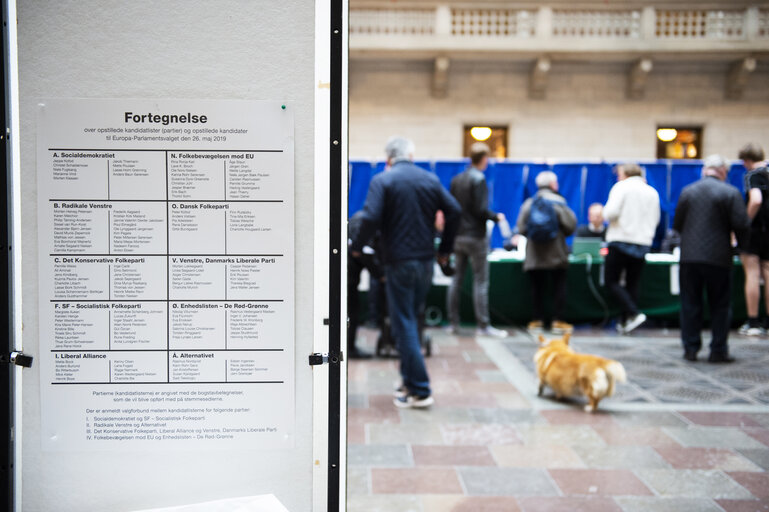 European Elections 2019 - Polling station in Copenhagen