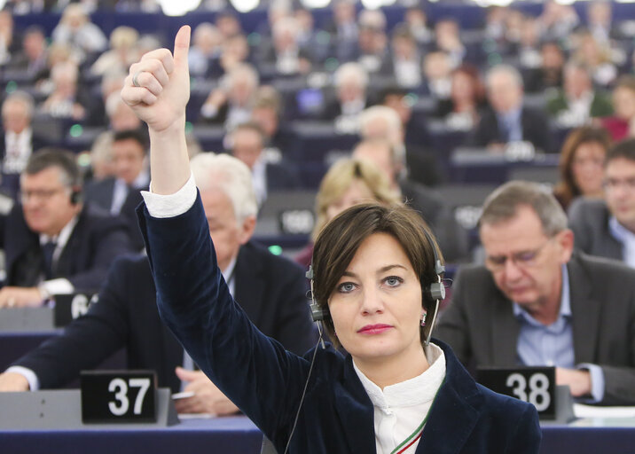 Lara COMI in the EP in Strasbourg