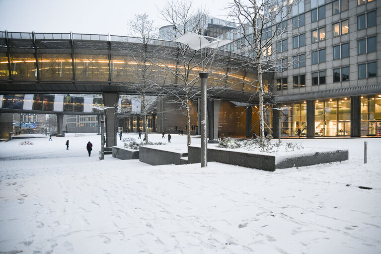 Brussels EP building under the snow