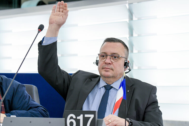 Dominique MARTIN in the EP in Strasbourg