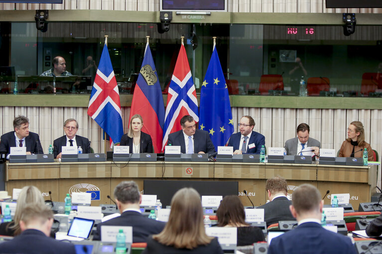 Foto 12: 52nd Joint Parliamentary meeting of the European Economic Area