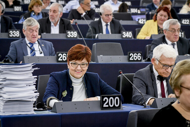 Fotografija 8: Ingeborg GRASSLE in the EP in Strasbourg