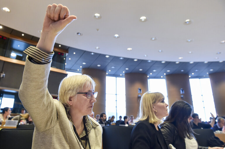 Φωτογραφία 3: Olga SEHNALOVA in the EP in Brussels