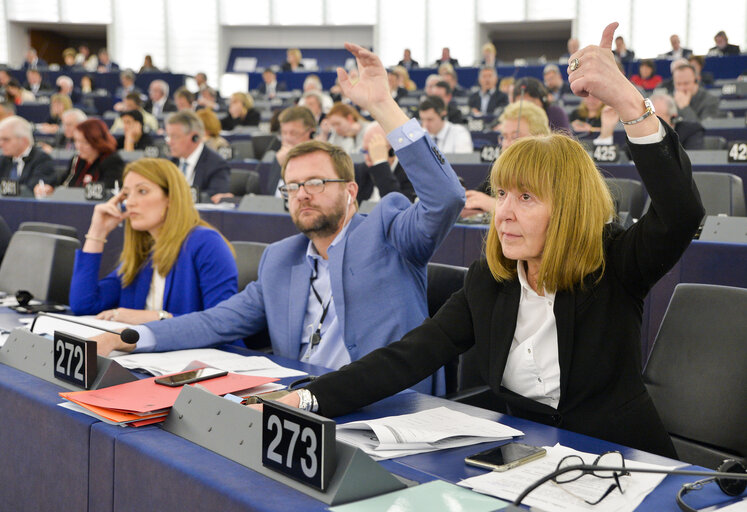 Monica Luisa MACOVEI in the EP in Strasbourg