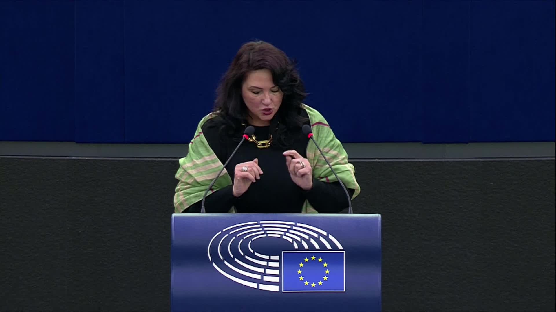 Condemning police violence against Romani people in the EU: closing statements by Helena DALLI, European Commissioner for Equality and by by Anže LOGAR, Slovenian Minister of Foreign Affairs