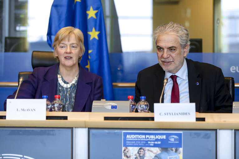 Photo 31 : DEVE public hearing  on ' The Future of the EU's Humanitarian Aid '