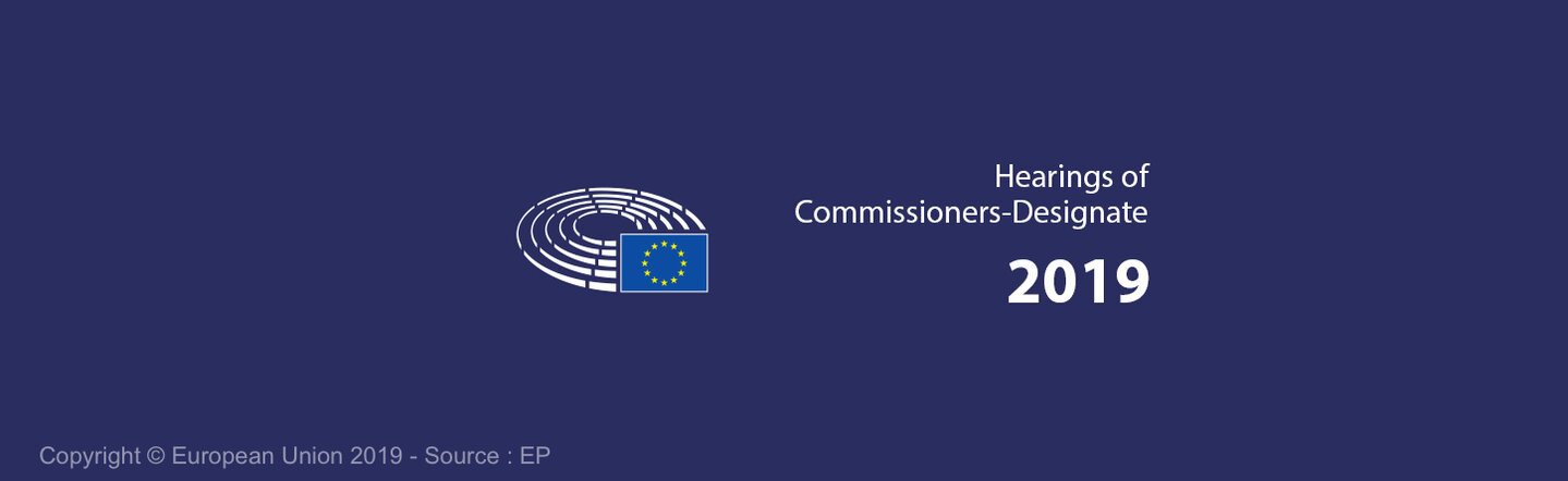 Commissioner Hearing 2019 Banner