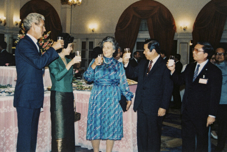 Baroness Diana ELLES, Vice President of the EP meets with a visitor at the EP in Strasbourg. (Exact date unknown)