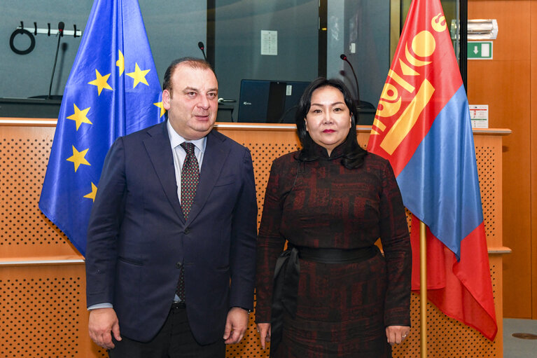 13th EU-Mongolia Inter-Parliamentary Meeting